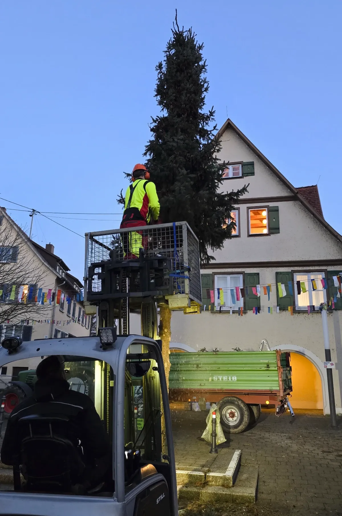 Narrenbaum
